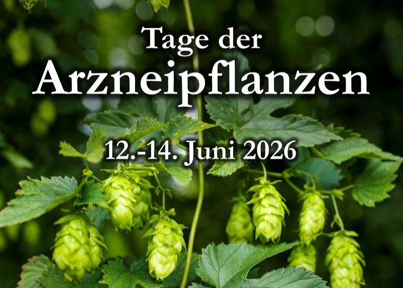 Stipendienverleihung