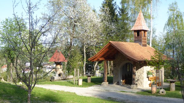 Pharmakobotanische Exkursion in Kärnten | Mitglied